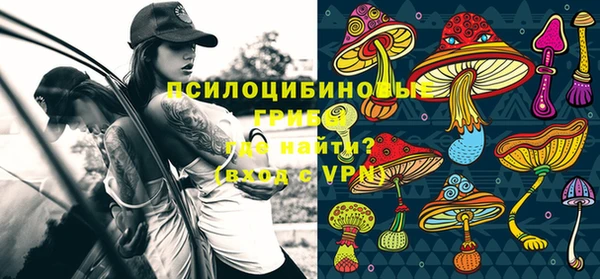 прущие грибы Бородино