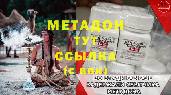 прущие грибы Бородино