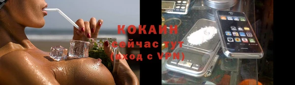 прущие грибы Бородино