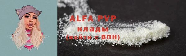 прущие грибы Бородино