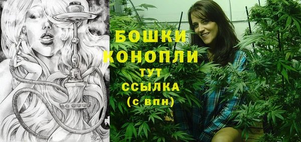 твердый Бронницы