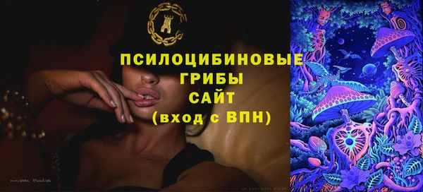 прущие грибы Бородино