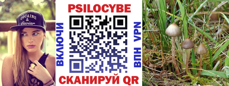 Псилоцибиновые грибы Psilocybine cubensis  Купить где  Соликамск 